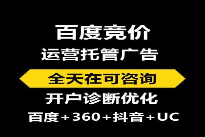 百度竞价运营的挑战与机遇：成功案例探讨